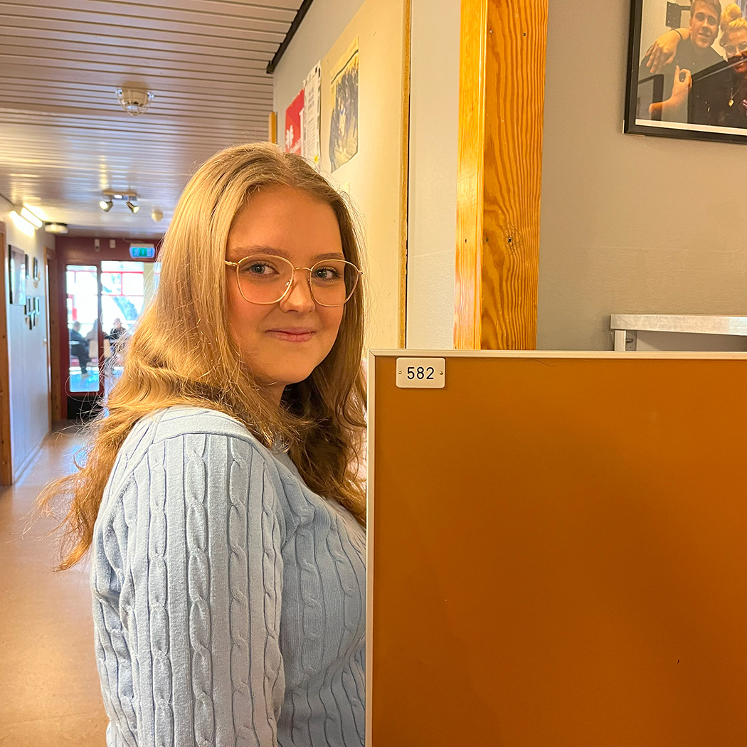 Bild vid hover